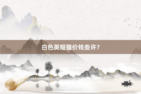 白色英短猫价钱些许？