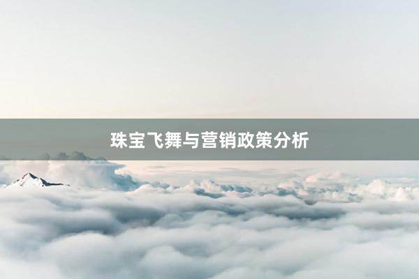 珠宝飞舞与营销政策分析